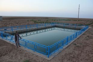 ساخت ۲۵۸ حوض بزرگ آب کشاورزی در شمال، آغاز می شود