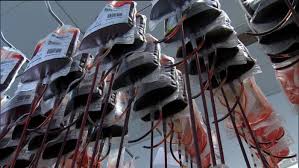 جمع‌آوری ۷۵۰ پاکت خون، در عاشورای امسال هرات