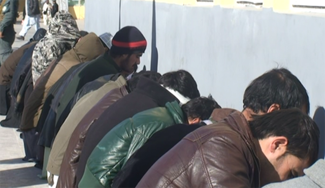 ۲۸ تن به ظن جرایم مختلف در هرات بازداشت شدند