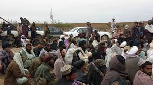 ۱۲ طالب به شمول دو فرمانده آنان در هرات کشته شدند
