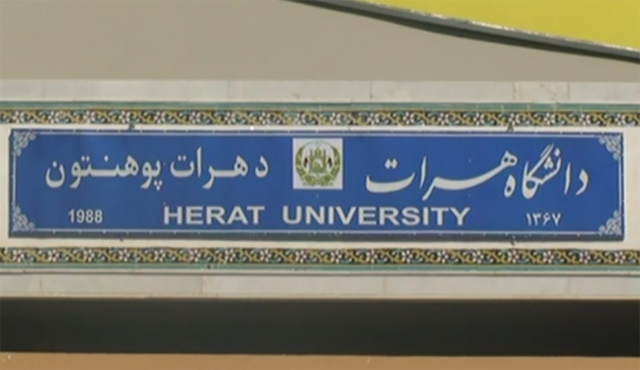 دانشجویان دانشگاه هرات، تابلوی جدید این مرکز علمی را نصب کردند