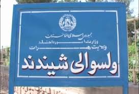 ۱۳ کشته و هفت زخمی از طالبان در شیندند هرات