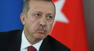 اردوغان: 3 میلیون آواره سوری، مهمان ما هستند
