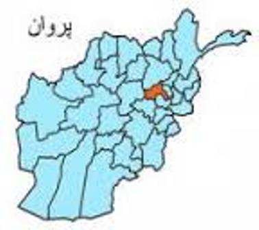 قاضی نام نهاد طالبان برای ولسوالی شینواری پروان بازداشت شد