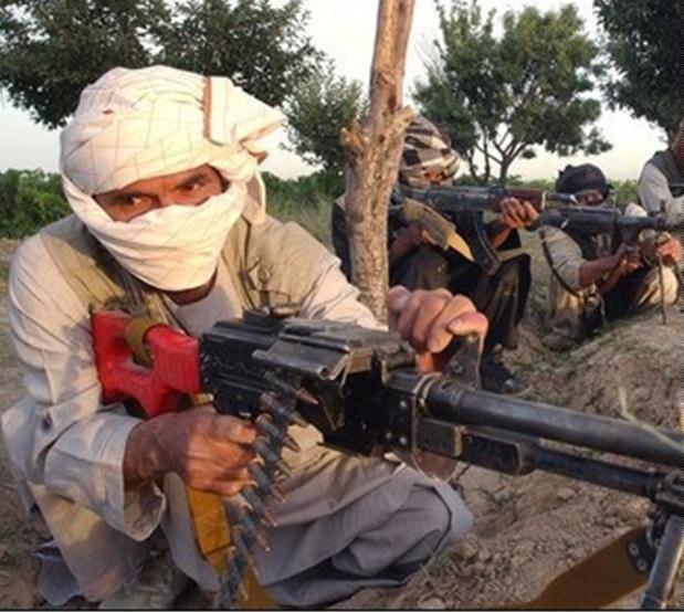 چهارده جنگجوی طالب در شیندند هرات کشته شدند