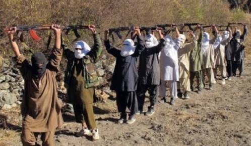 طالبان، حزب اسلامی و صلح پاکستانی