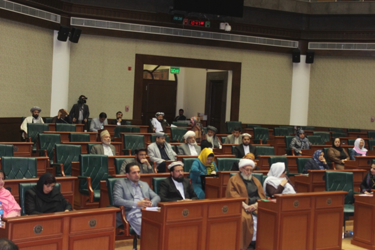 مجلس سنا قانون منع آزار و اذیت کودکان و زنان را تایید کرد