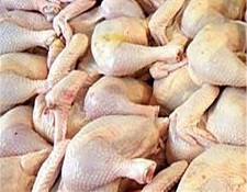 امنیت ملی هرات، سیزده هزار و پنجصد مرغ فاسد شده را کشف و ضبط کرد