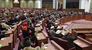 نمایندگان مجلس، کتک کاری یک زن پرستار توسط نماینده پارلمان را بررسی می کنند