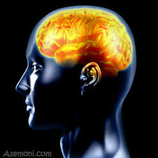 مغز، عامل اصلی تولید حرارت در بدن است