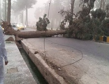 طوفان کم سابقه در هرات سه کودک را کشت و هشت تن را هم زخمی ساخت