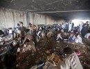 "پل سوخته" به جزیره معتادان و لکه ننگی بر دامن کابل تبدیل شده است "پل سوخته" به جزیره معتادان و لکه ننگی بر دامن کابل تبدیل شده است