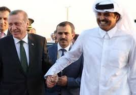 اردوغان و امیر قطر، روی همکاری های مشترک تاکید نمودند
