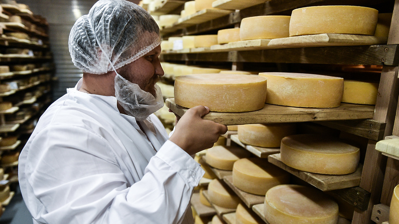 تولید پنیر پوتین در روسیه !