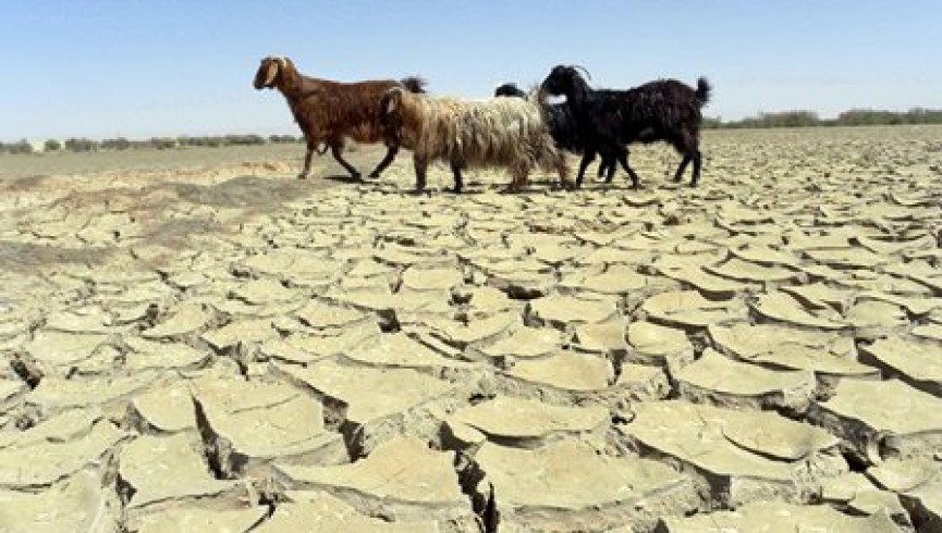 هشدار سازمان ملل از پیامدهای خشکسالی در افغانستان/ از وقوع فاجعه انسانی در افغانستان باید جلوگیری شود