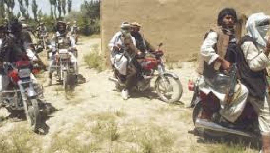 طالبان وايي، د حکومت له خوا د اوربند وړاندیز ارزوي