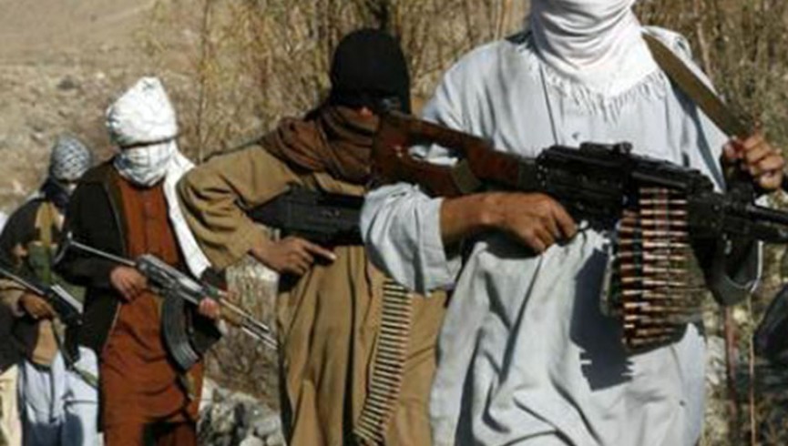 17 سرباز اردو و هشت طالب مسلح در زاول هرات کشته شدند