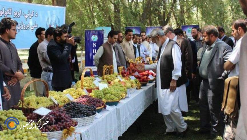 وزیر زراعت: صادرات میوه  تازه کشور 24 درصد افزایش یافته است