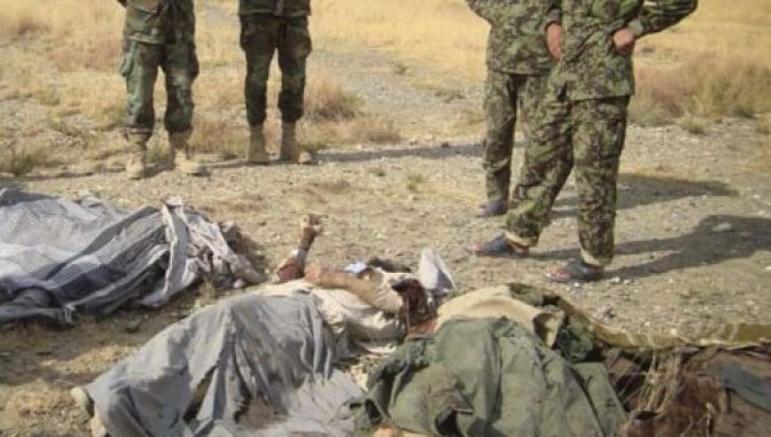 طالبان در اوبه هرات سه کشته و یک زخمی دادند