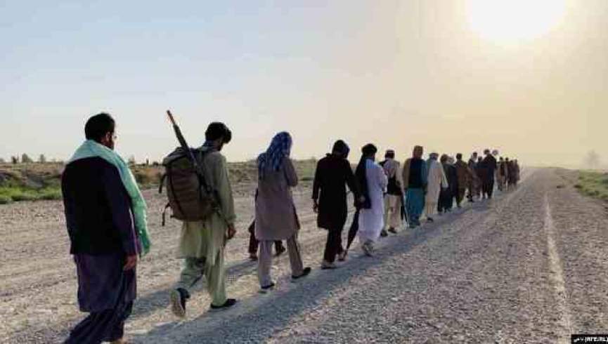 طالبان مسلح حدود 20 عضو حرکت مردمی صلح را با خود برده‌اند