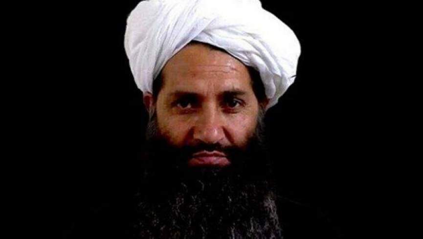 طالبان: هم د سولې خبرو هم جګړې ته ادامه ورکوو