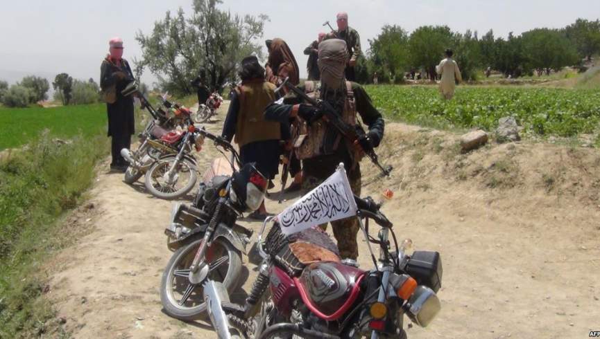 تلفات سنگین طالبان در  پنج ولایت؛ 63 طالب کشته و زخمی شدند