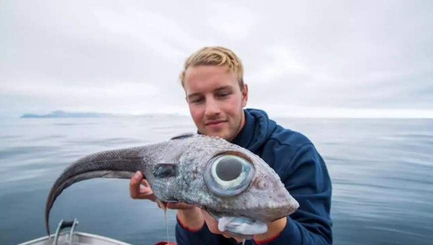 صید ماهی عجیب باعث حیرت ماهیگیر ناروژی شد