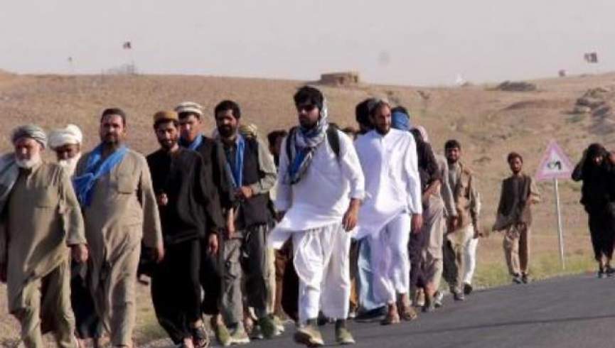 طالبان اعضای ربوده شده حرکت مردمی صلح را رها کردند