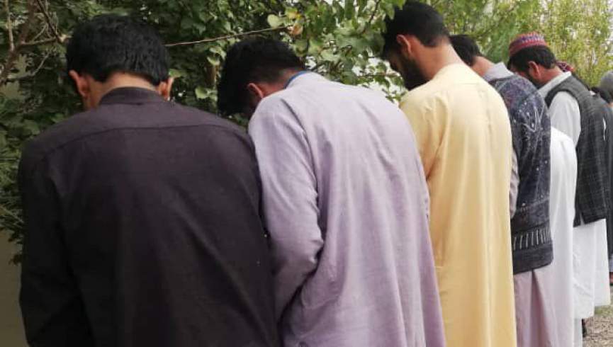 پنج قاچاقچی حرفه‌ای مواد مخدر به چنگ پولیس هرات افتادند