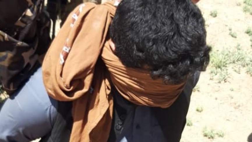 بازداشت عامل اصلی حمله بالای بندهای آبی هرات توسط امنیت ملی