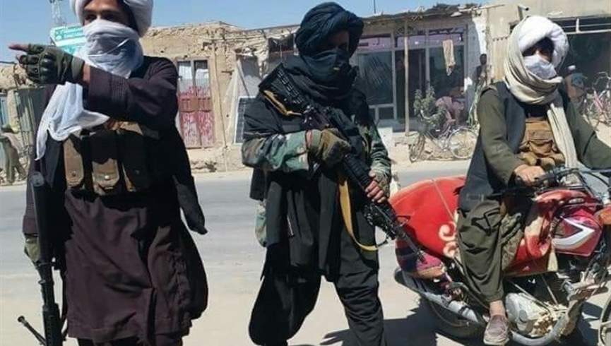 طالبان فراه یک دامپزشک را کشتند
