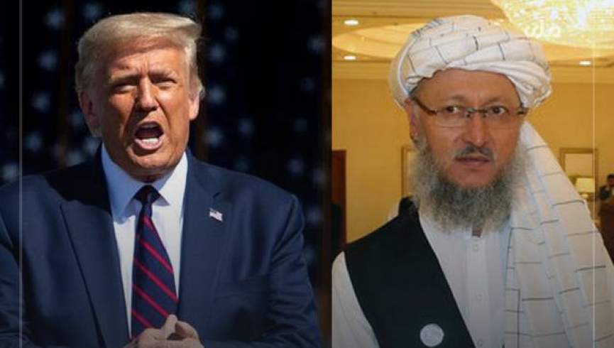 سخنگوی طالبان: امیدواریم که ترامپ برنده انتخابات ریاست جمهوری امریکا شود