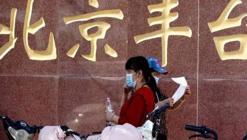 ضبط اولین مرگ از تاج در چین طی 8 ماه