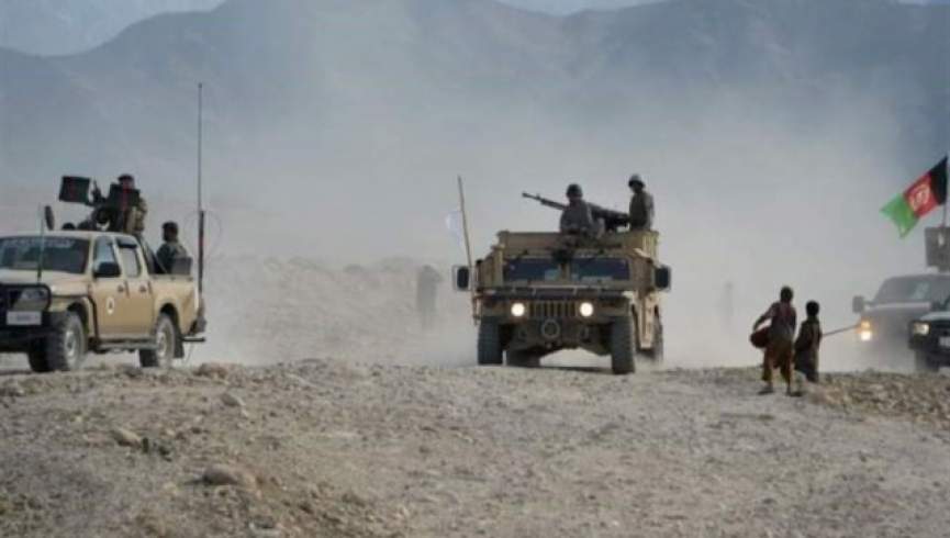 طالبان 7 کشته و 5 نفر را در هرات زخمی کردند