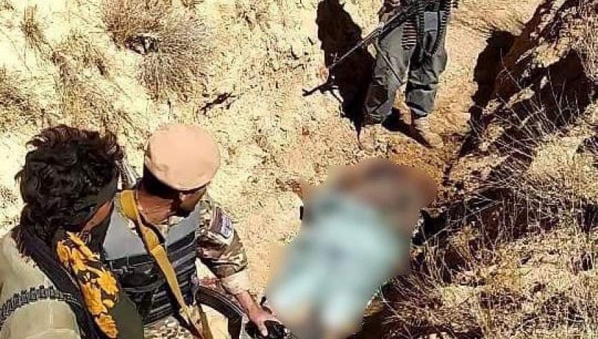 سه طالب در درگیری با نیروهای امنیتی در هرات کشته شدند
