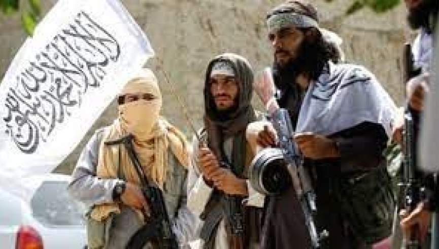 طالبان 30 کارمند یک موسسه ماین پاکی را در بغلان تیرباران کردند
