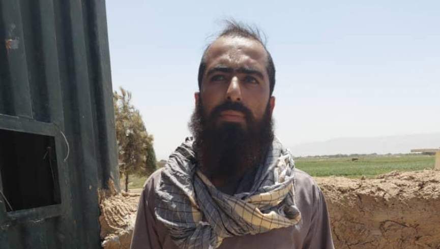 مسئول جلب و جذب طالبان در بلخ بازداشت شد