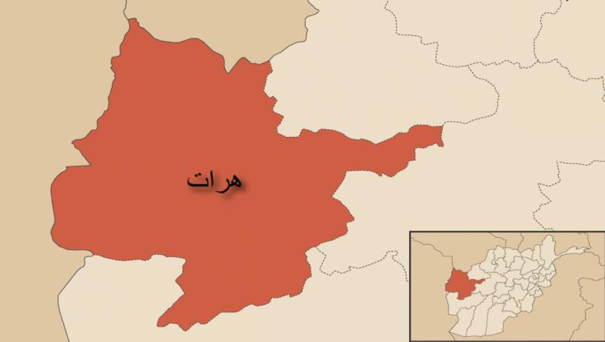 ترور دو تن از باشندگان هرات/طالبان در حال پیگیری قضیه
