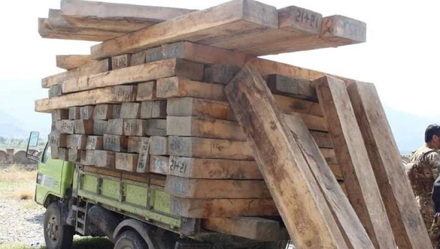 طالبان قطع جنگلات و قاچاق چوب چارتراش را ممنوع اعلام کردند