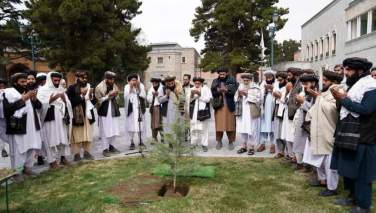 رئیس الوزرای گروه طالبان یک اصله نهال را غرس کرد