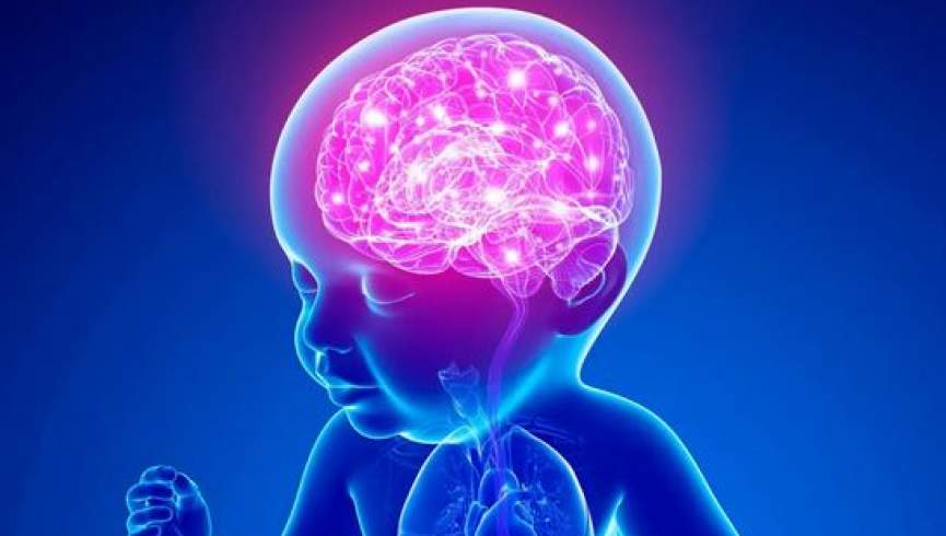 کشف شباهت های خیره‌ کننده مغز طفل و هوش مصنوعی