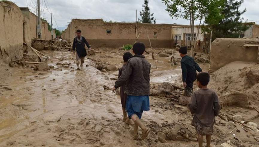 نیکلسن: وضعیت سیلاب زدگان در افغانستان را زیر نظر داریم