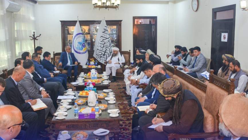 سرپرست وزارت معادن گروه طالبان با نماینده رئیس جمهور اوزبیکستان دیدار کرد